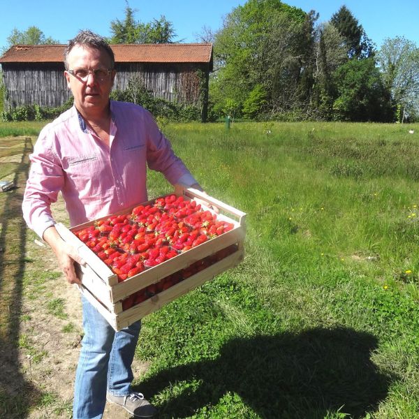 Christian Pineaud - Producteur de fruits rouges chez Pari Fermier